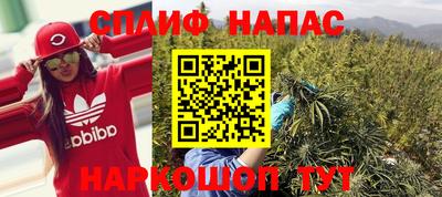 кокс Кингисепп
