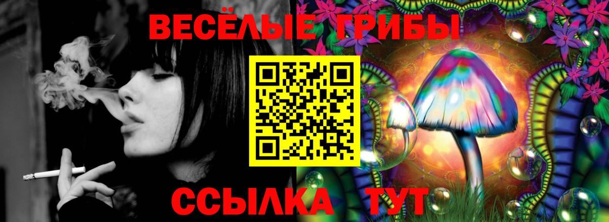 Комсомольск-на-Амуре  Псилоцибиновые грибы Psilocybine cubensis  Галлюциногенные грибы прущие грибы  Вход с VPN 